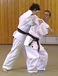 NAGE_WAZA