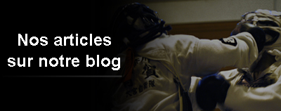Blog de Nippon Kempo